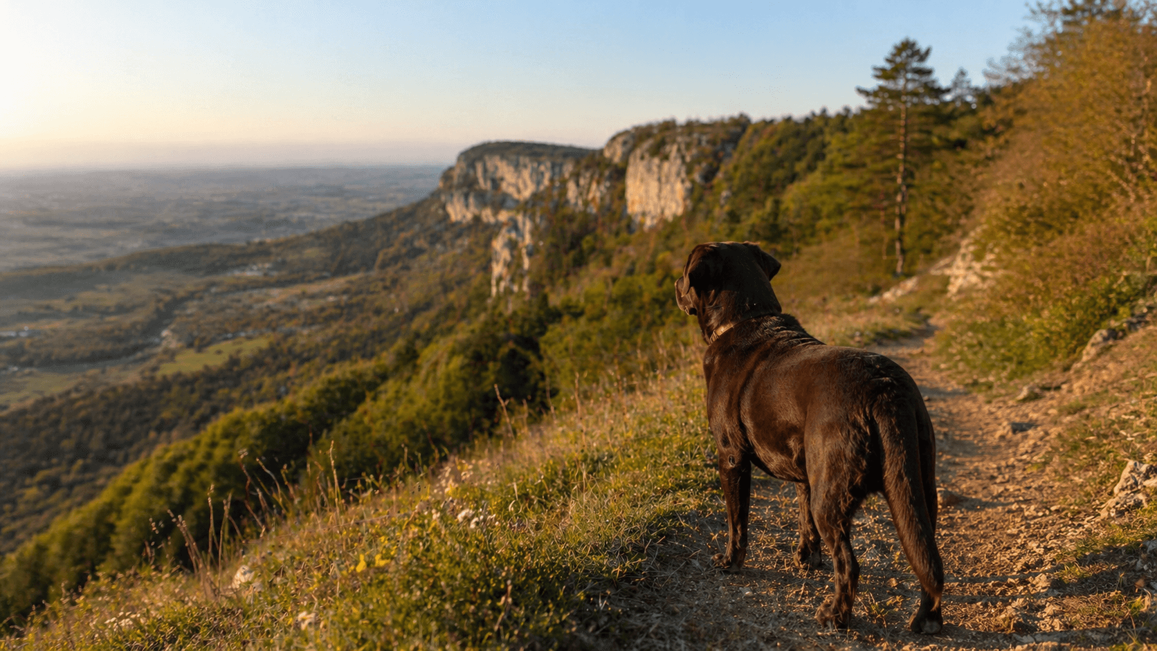 Amy am Albtrauf bei Sonnenaufgang, Blick weit über die Schwäbische Alb